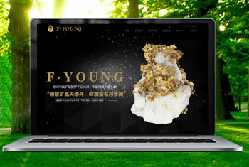 ֣�ݸ������ﱦʯ